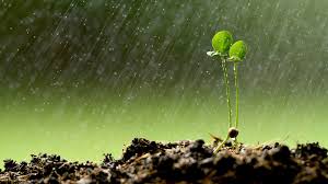 Rainfall prediction model visualization